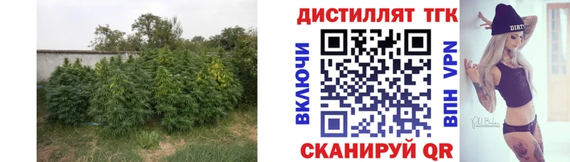 Дистиллят ТГК THC oil  Горно-Алтайск 