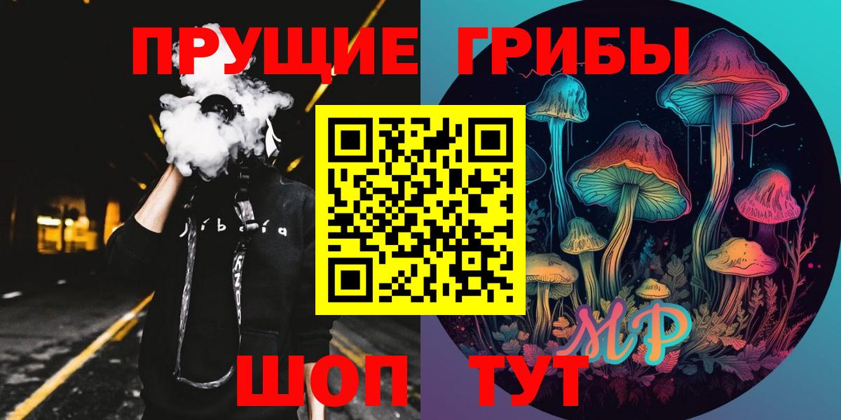 Псилоцибиновые грибы прущие грибы Горно-Алтайск