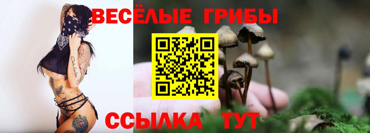 Наркошоп  ЭКСТАЗИ  Гашиш  Cocaine  Вход с VPN  Горно-Алтайск  Мефедрон кристаллы  МАРИХУАНА 