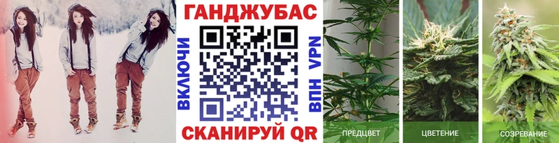 где купить   Горно-Алтайск  Шишки марихуана сатива 